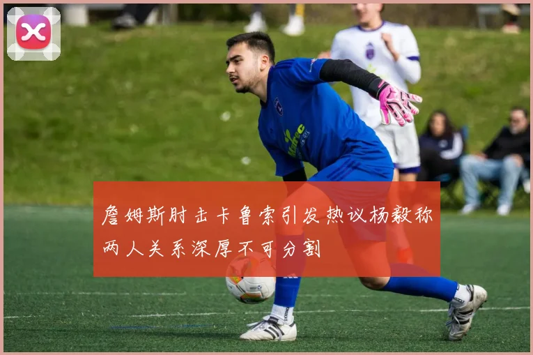 詹姆斯肘击卡鲁索引发热议杨毅称两人关系深厚不可分割