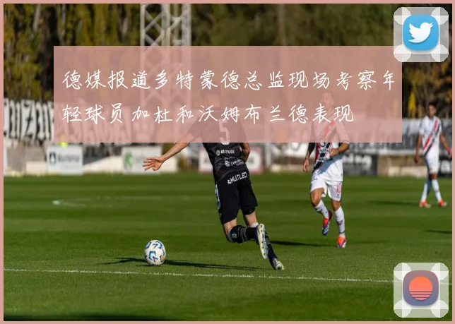 德媒报道多特蒙德总监现场考察年轻球员加杜和沃姆布兰德表现